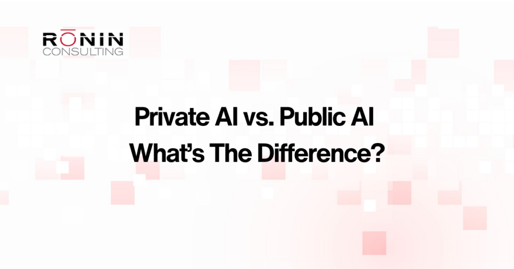 private vs public AI